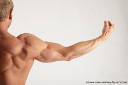 Bodybuilding reference poses of Alberto